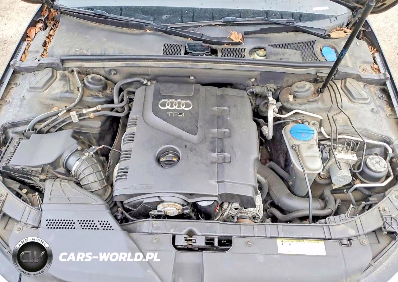 2012 Audi A4 Premium Plus VIN:WAUFFAFL0CN016039 - 11