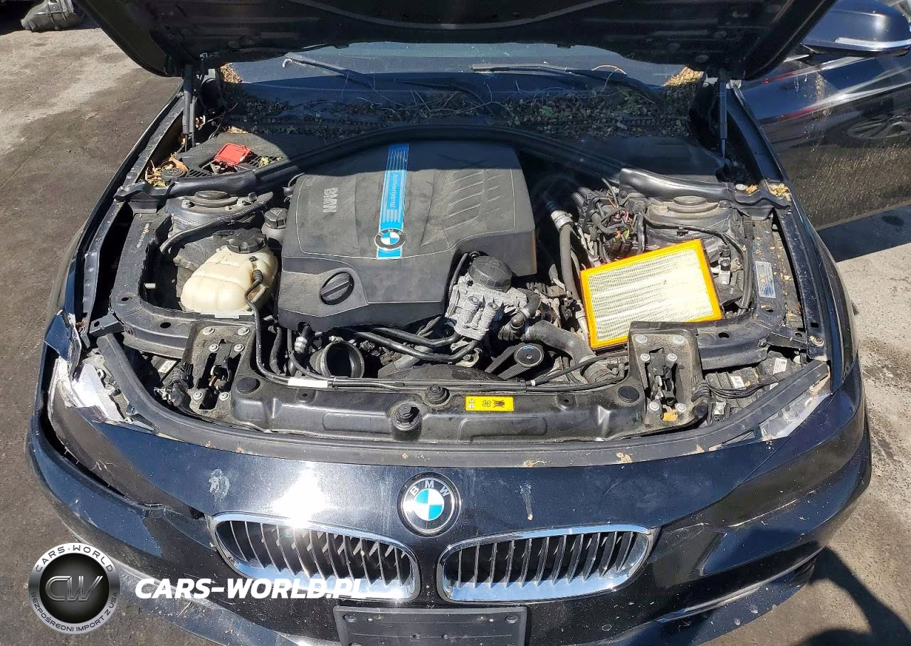 2013 BMW Activehybrid 3 VIN:WBA3F9C53DF484446 - 11