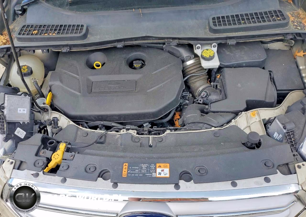 2018 Ford Escape Titanium VIN:1FMCU9J9XJUD46064 - 12