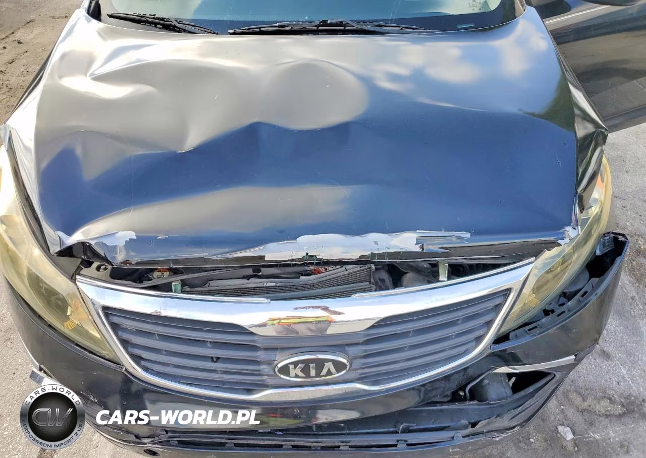 2016 Kia Sportage Sx VIN:KNDPC3A62G7830880 - 12