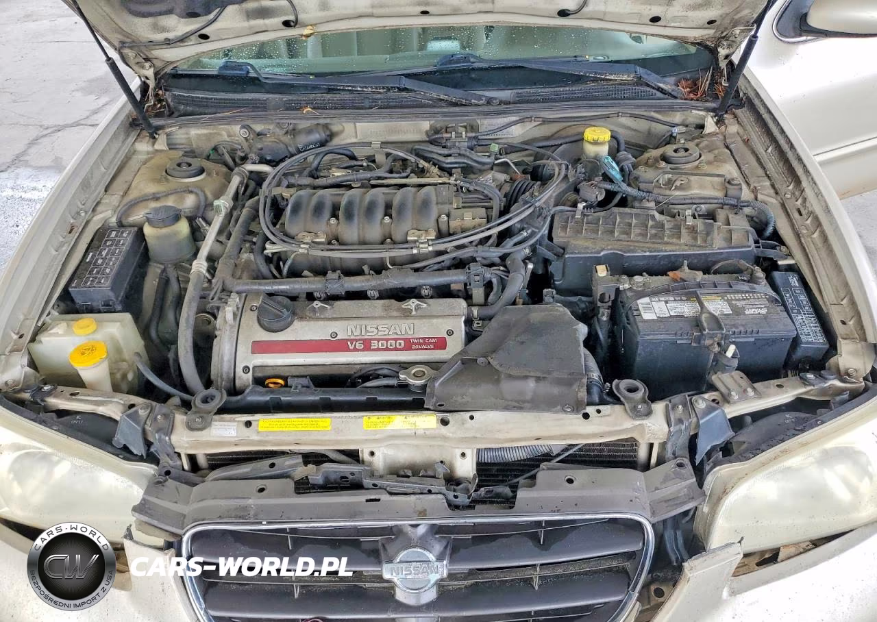 2001 Nissan Maxima Gxe VIN:JN1CA31DX1T616143 - 11