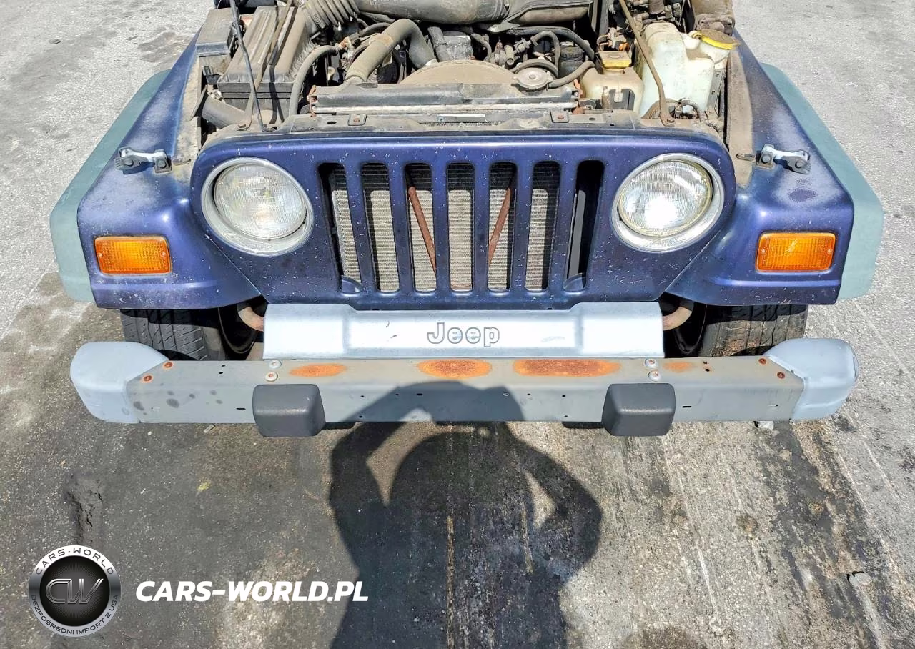 1999 Jeep Wrangler - Tj Se VIN:1J4FY29P8XP438372 - 11