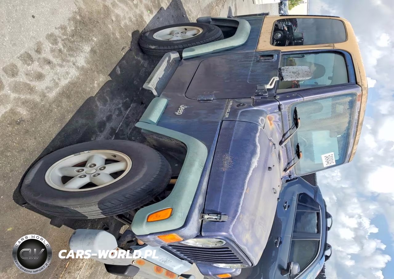 1999 Jeep Wrangler - Tj Se VIN:1J4FY29P8XP438372 - 4