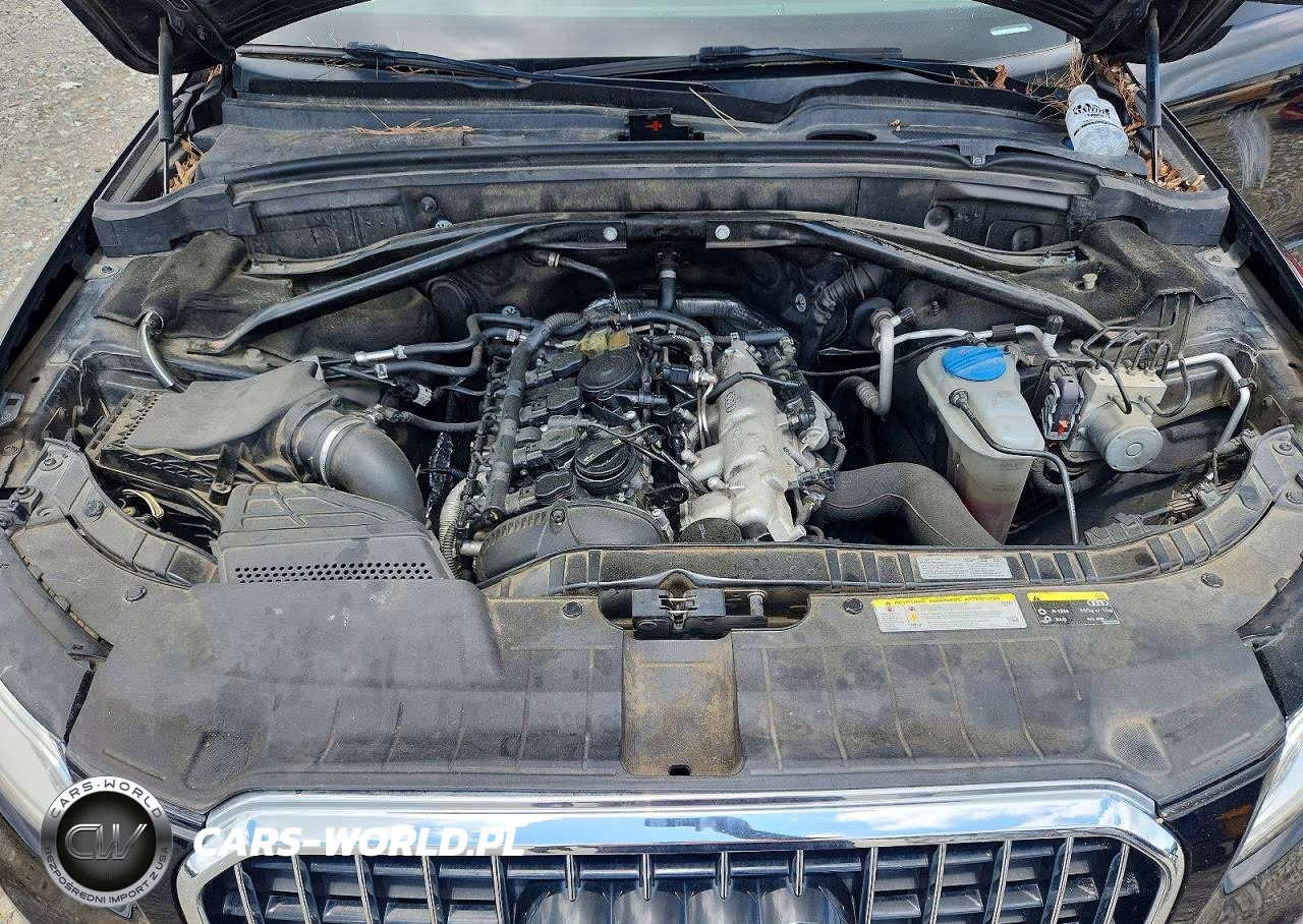 2014 Audi Q5 Premium Plus VIN:WA1LFAFP3EA055950 - 11