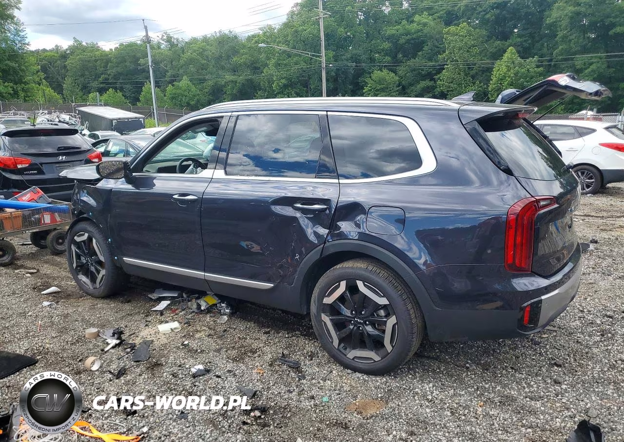 2025 Kia Telluride S VIN:5XYP6DGC1SG677835 - 2