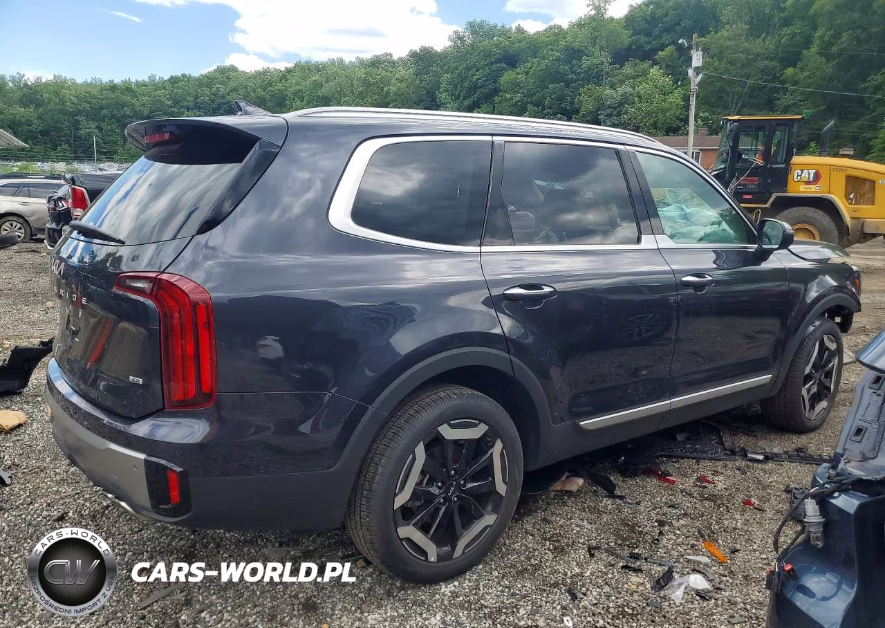 2025 Kia Telluride S VIN:5XYP6DGC1SG677835 - 3
