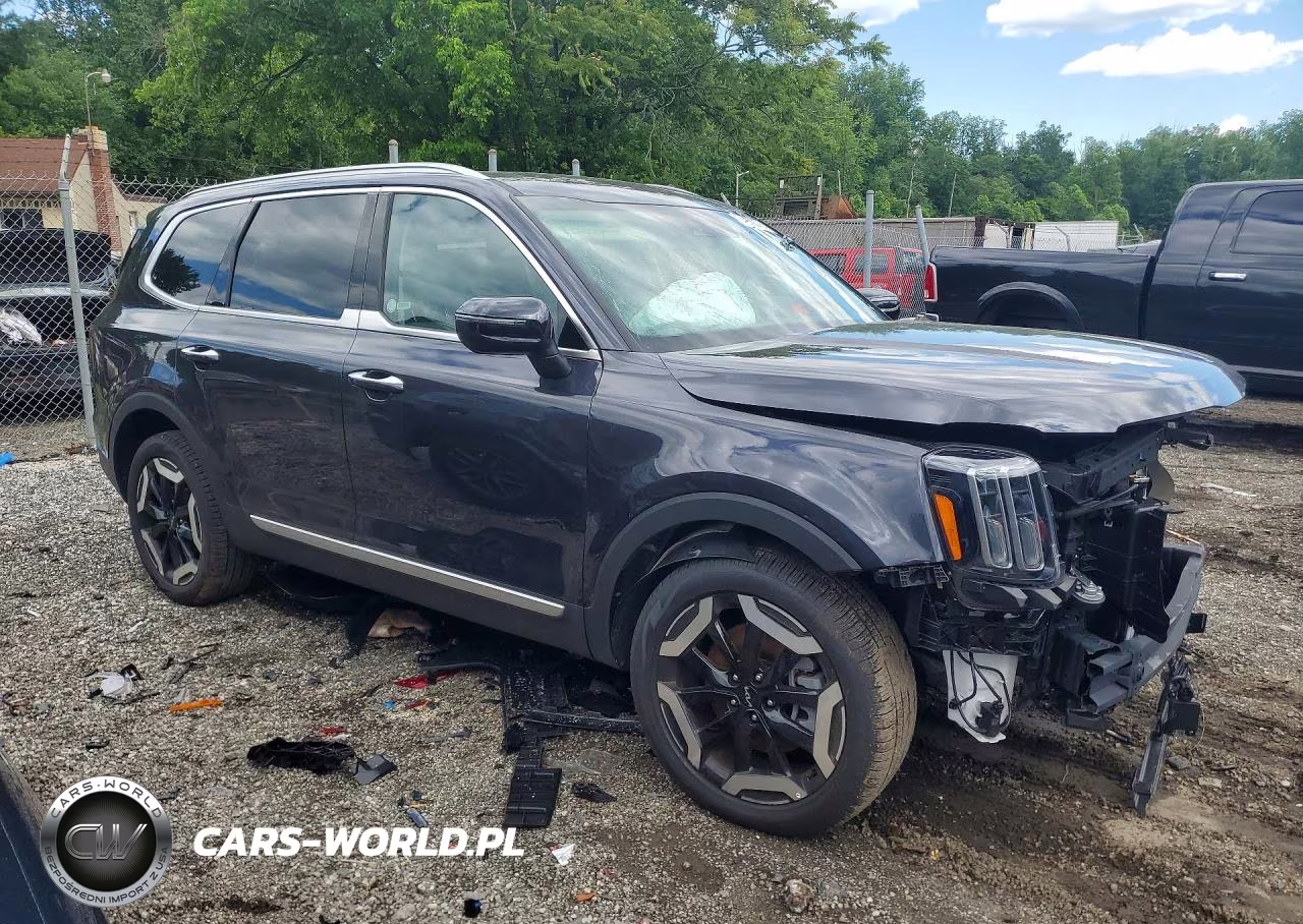 2025 Kia Telluride S VIN:5XYP6DGC1SG677835 - 4