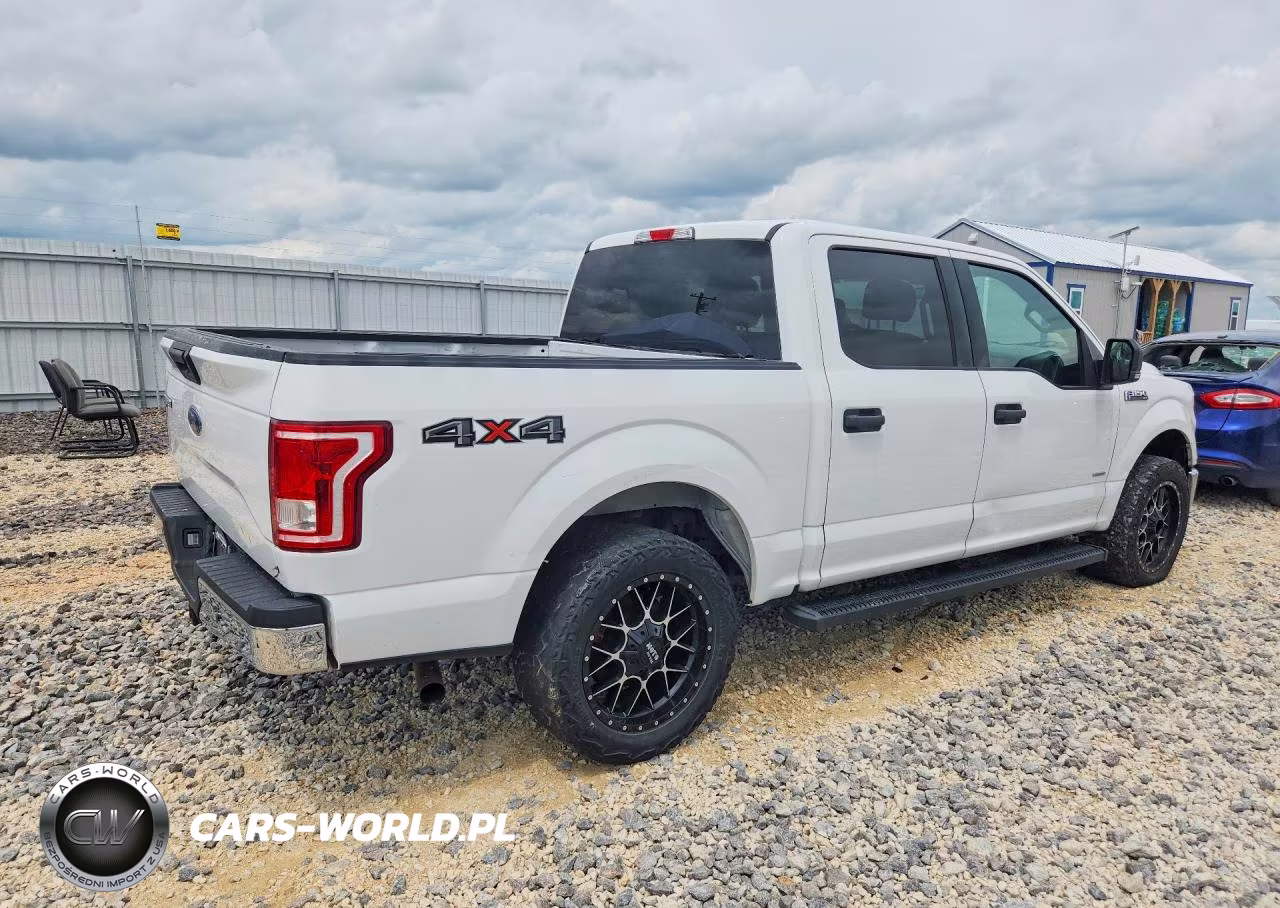 2017 Ford F150 Supercrew VIN:1FTEW1EPXHFC63055 - 3