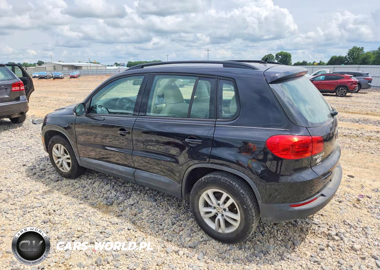 2016 Volkswagen Tiguan S VIN:WVGAV7AX9GW501787 - 2