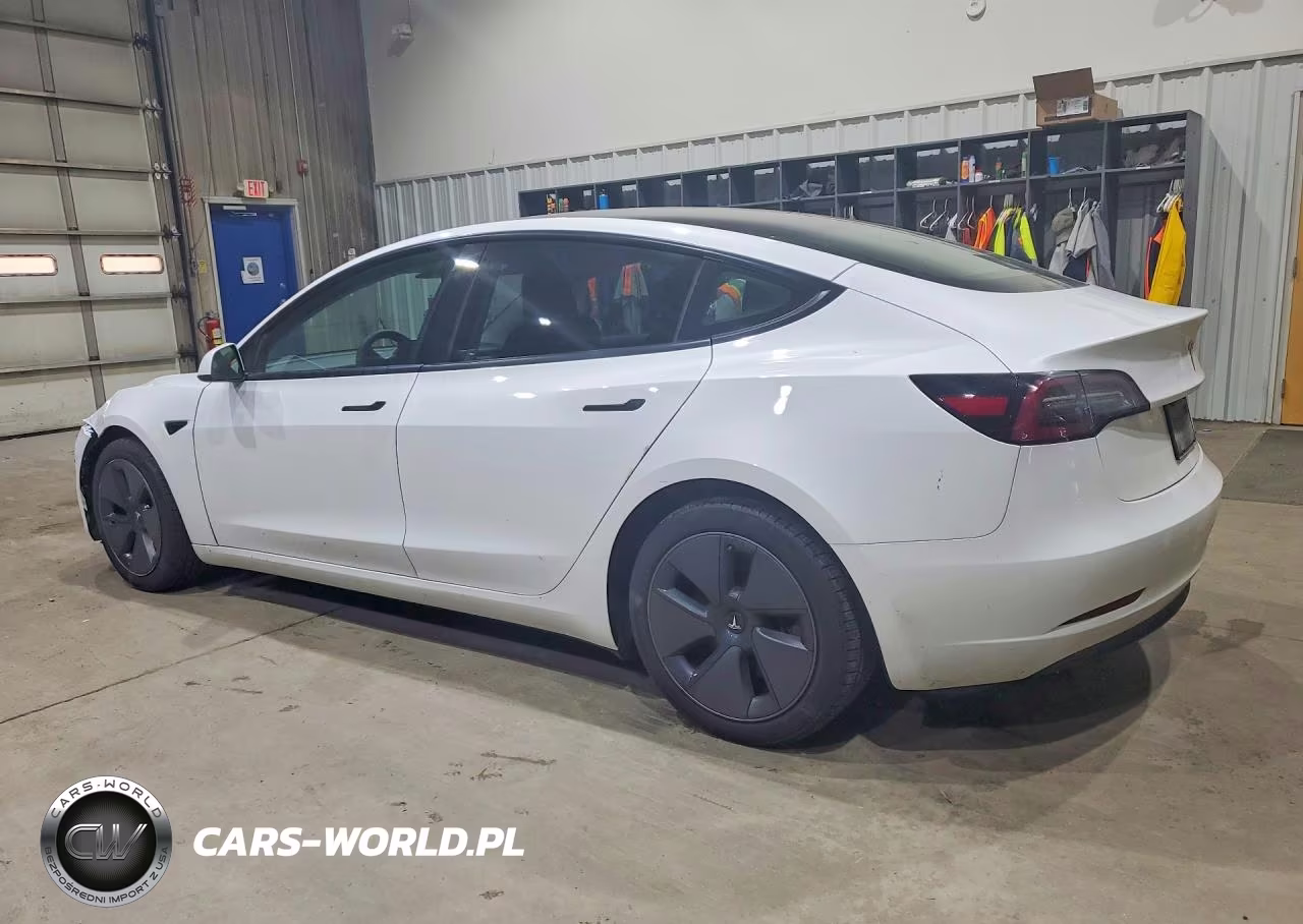 2023 Tesla Model 3 VIN:5YJ3E1EAXPF504170 - 2