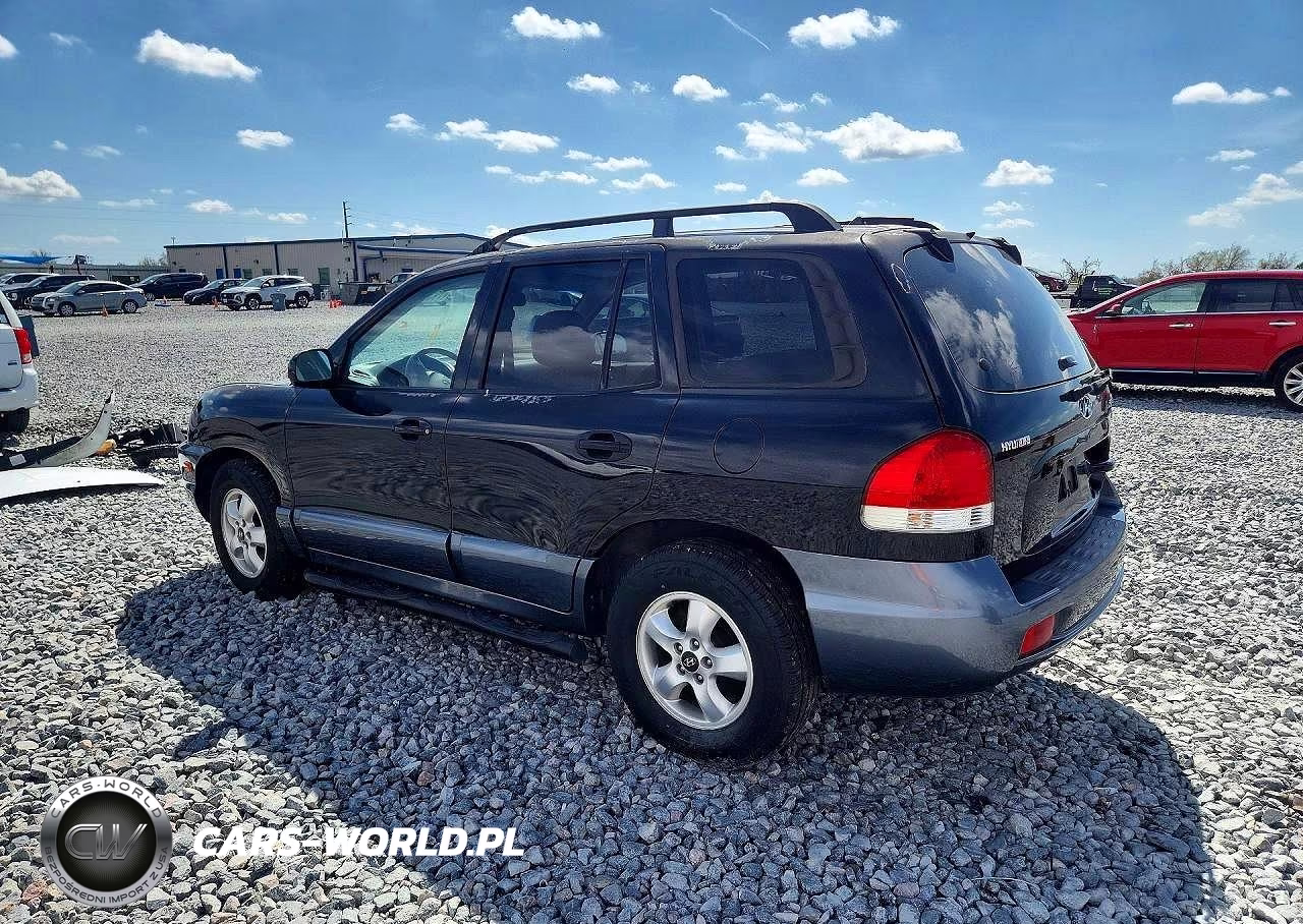 2005 Hyundai Santa Fe Gls VIN:KM8SC13E95U878714 - 2
