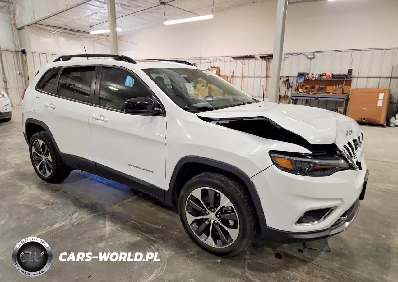 2022 Jeep Cherokee Limited VIN:1C4PJMDX0ND555931 - 4
