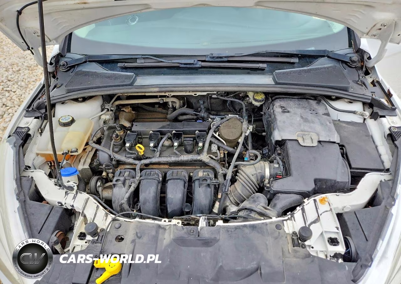 2016 Ford Focus Se VIN:1FADP3K25GL244867 - 11
