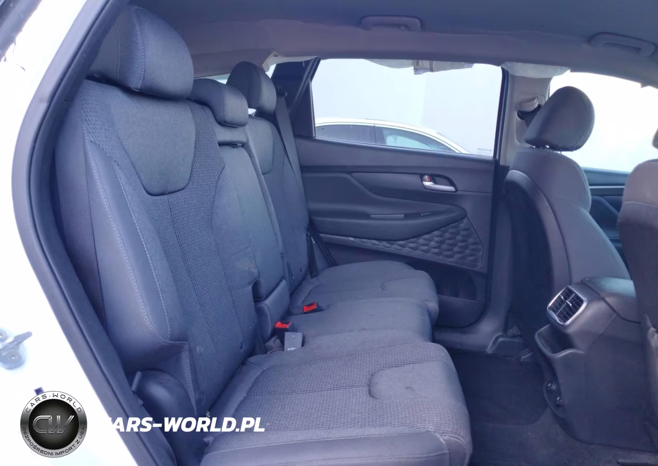 2020 Hyundai Santa Fe Sel VIN:5NMS33AD0LH305957 - 11