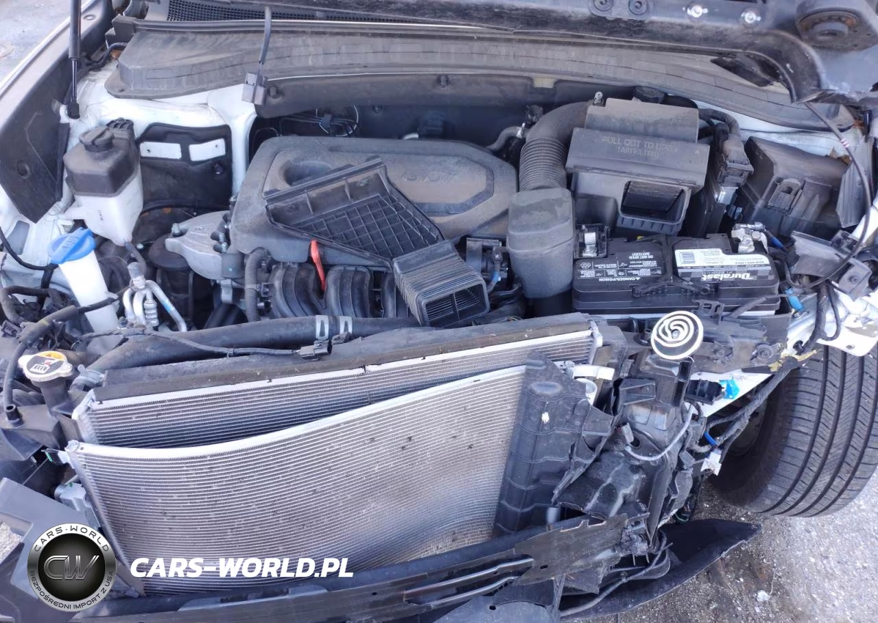 2020 Hyundai Santa Fe Sel VIN:5NMS33AD0LH305957 - 12