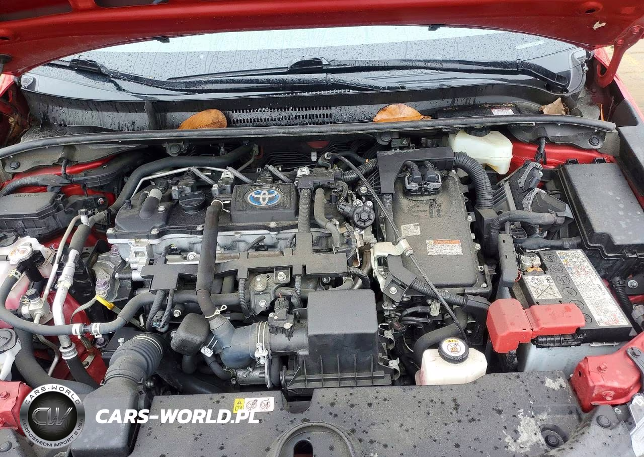 2021 Toyota Corolla Le VIN:JTDEAMDE5MJ031230 - 11