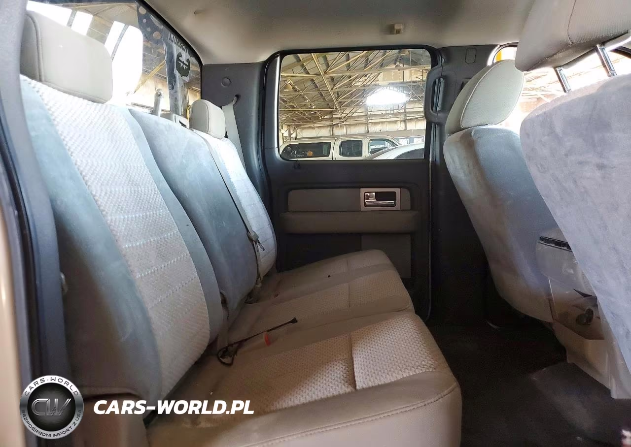 2009 Ford F150 Supercrew VIN:1FTPW14V19KA69516 - 10