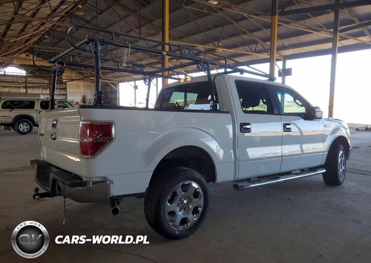 2009 Ford F150 Supercrew VIN:1FTPW14V19KA69516 - 3