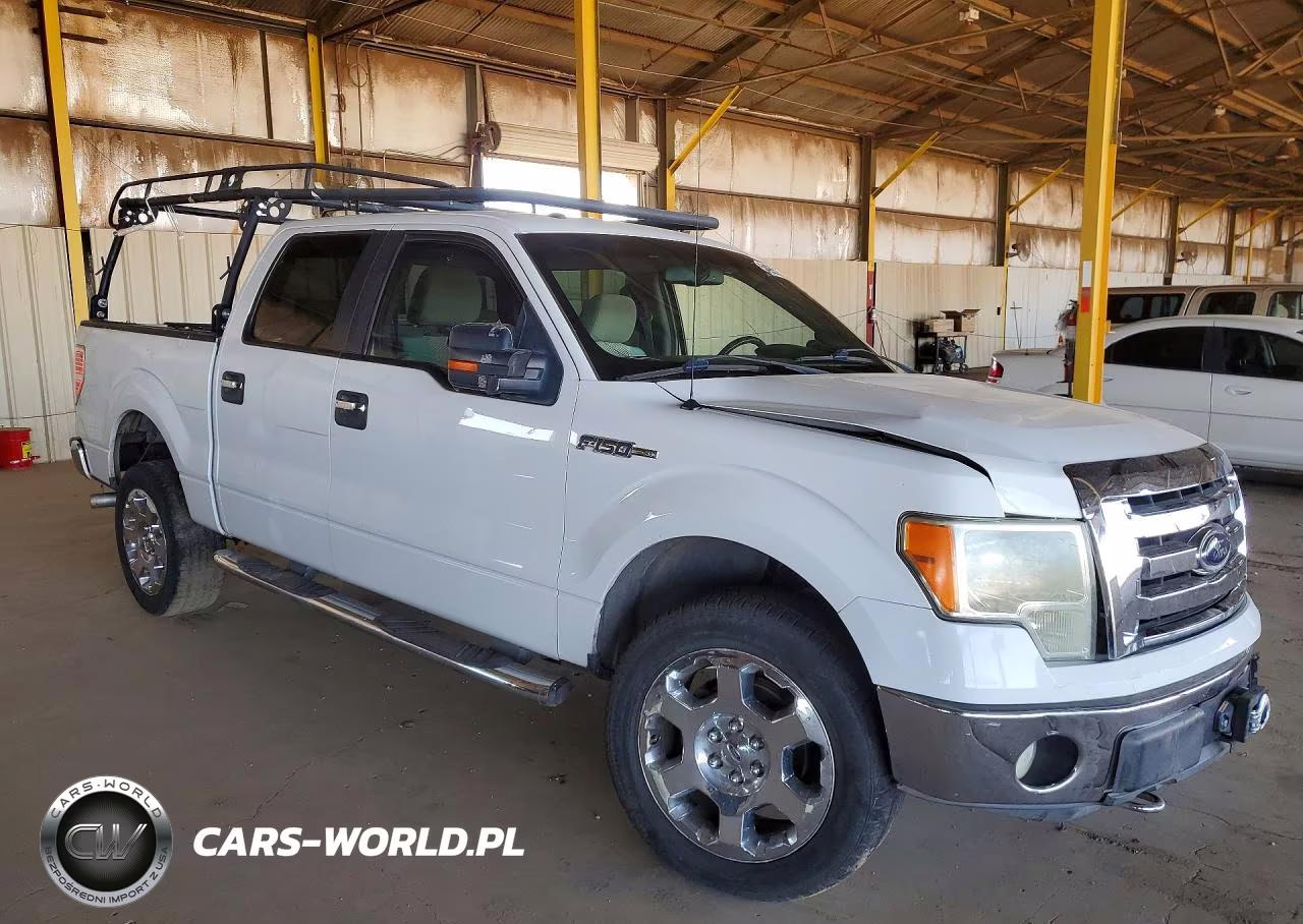 2009 Ford F150 Supercrew VIN:1FTPW14V19KA69516 - 4