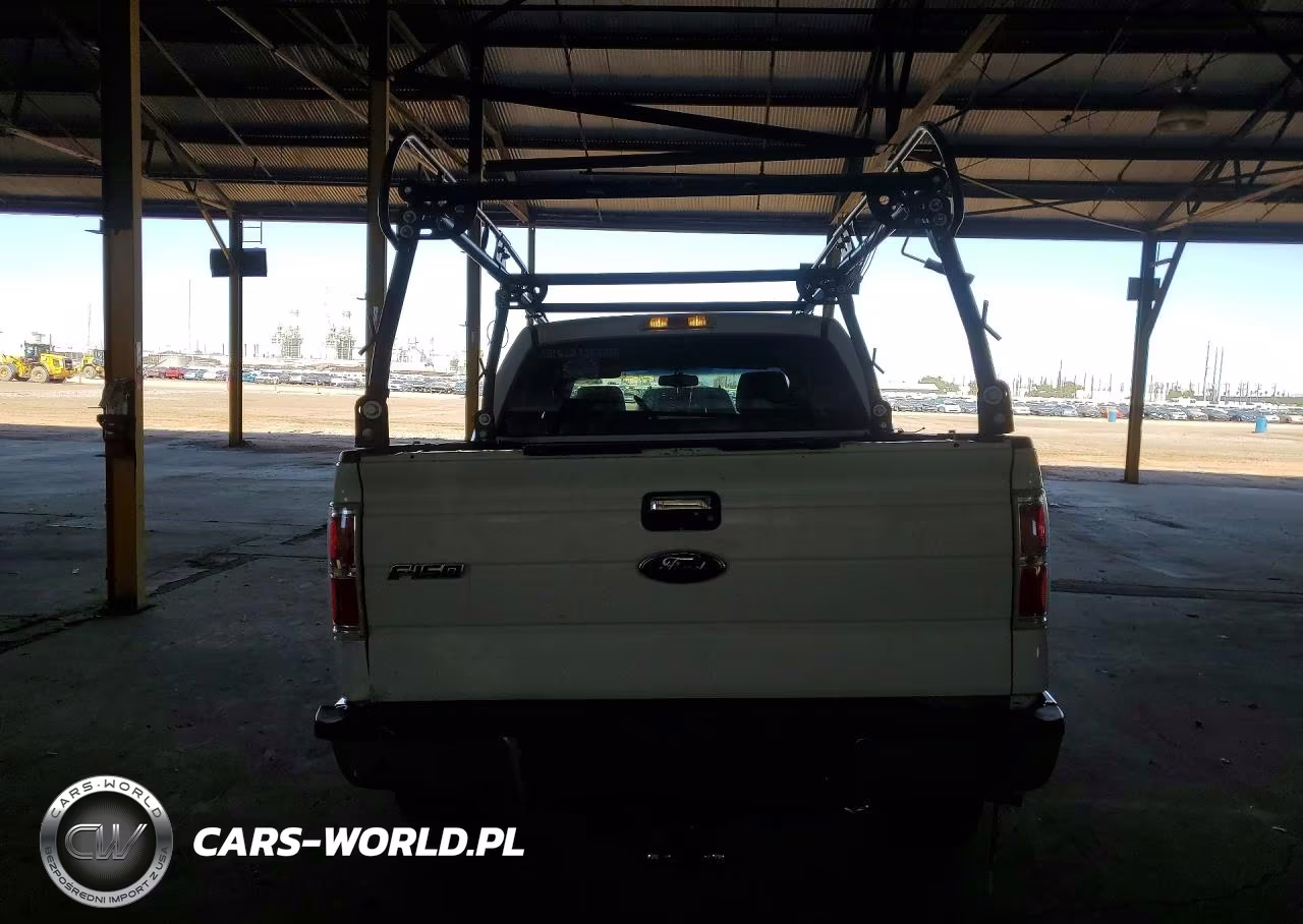 2009 Ford F150 Supercrew VIN:1FTPW14V19KA69516 - 6