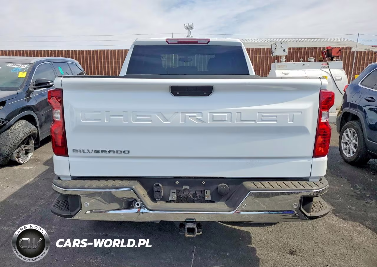 2020 Chevrolet Silverado C1500 VIN:1GCRWAEF6LZ103500 - 6
