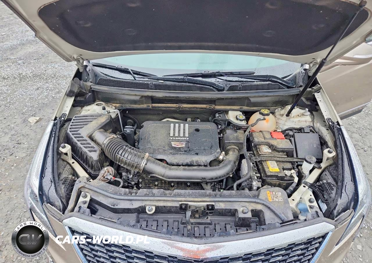 2023 Cadillac Xt5 Premium Luxury VIN:1GYKNCR45PZ140465 - 12
