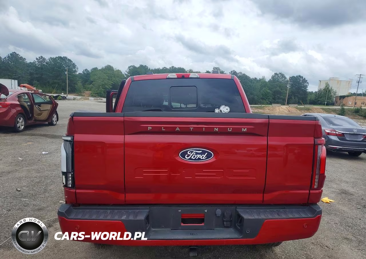 2025 Ford F150 Platinum VIN:1FTFW7LD0SFA90766 - 6