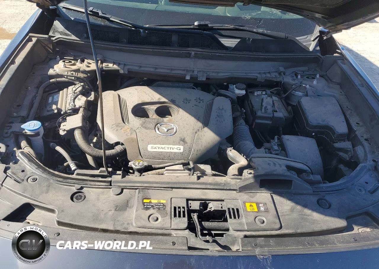 2021 Mazda Cx-9 Signature VIN:JM3TCBEY0M0500056 - 12