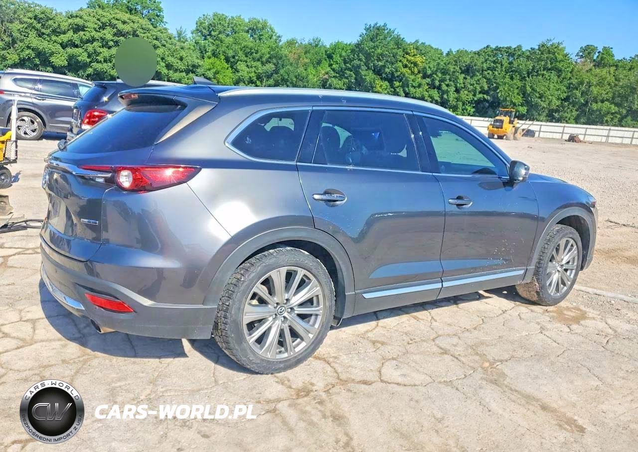 2021 Mazda Cx-9 Signature VIN:JM3TCBEY0M0500056 - 3