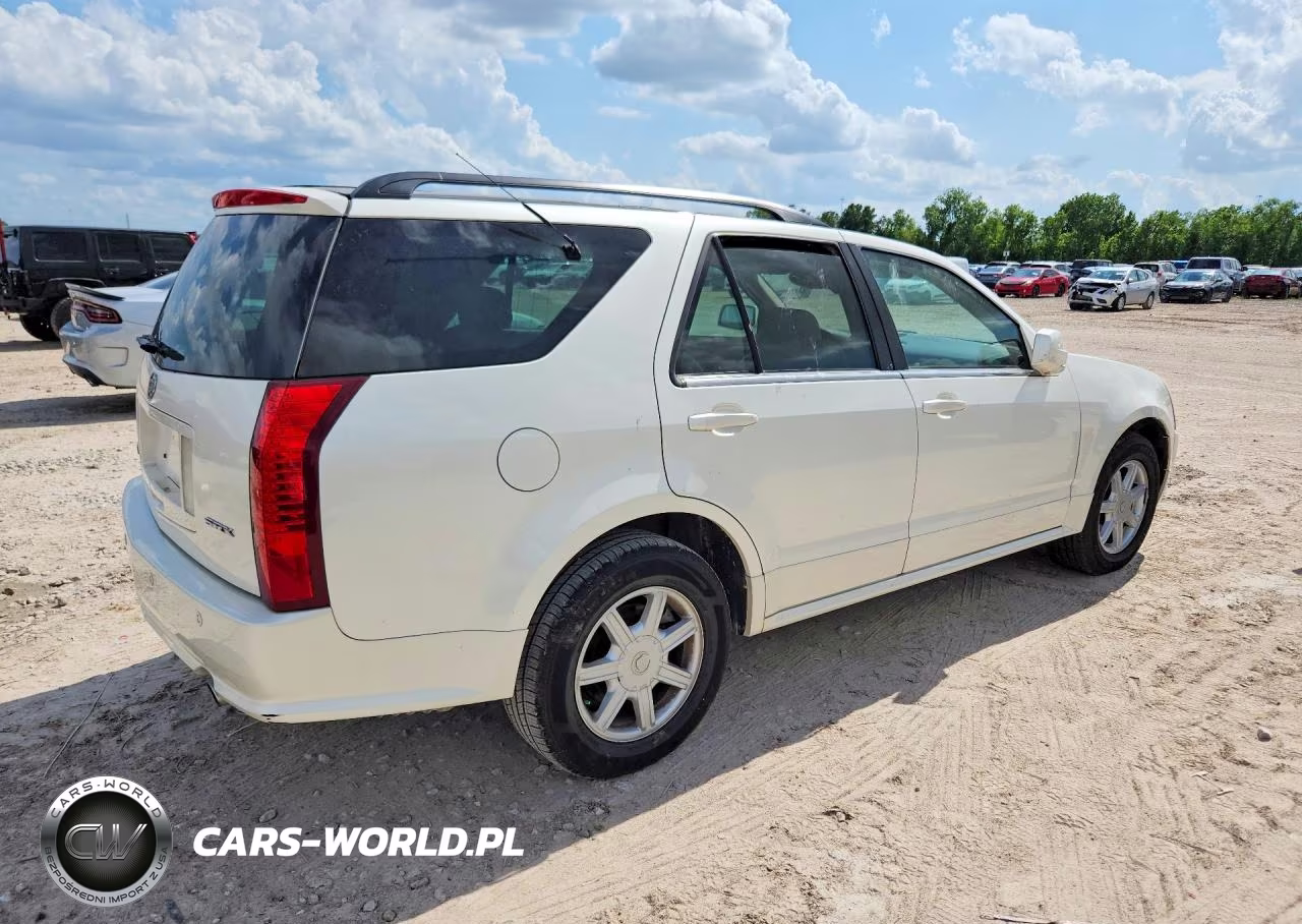 2004 Cadillac Srx VIN:1GYEE637440152480 - 3
