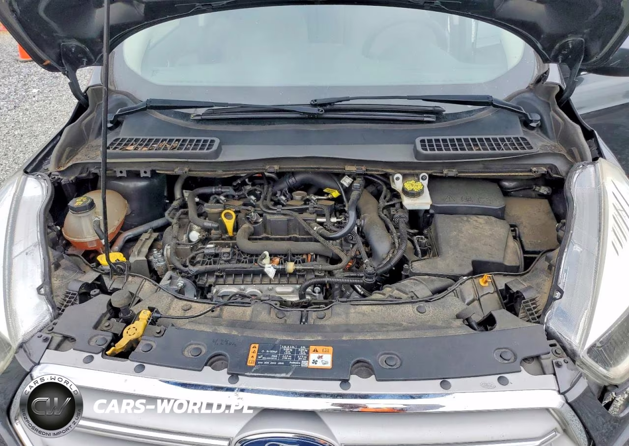 2019 Ford Escape Se VIN:1FMCU0GD7KUB11601 - 12