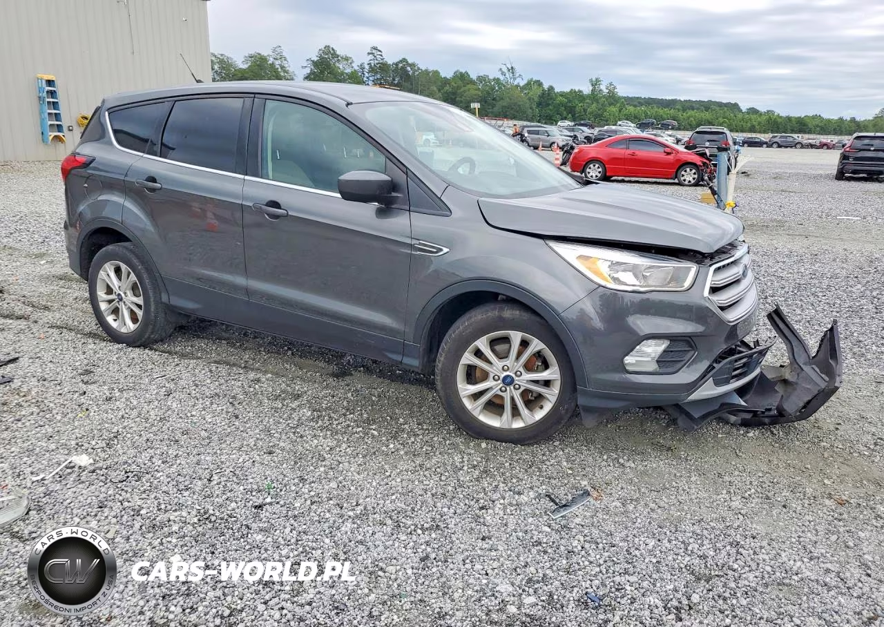 2019 Ford Escape Se VIN:1FMCU0GD7KUB11601 - 4