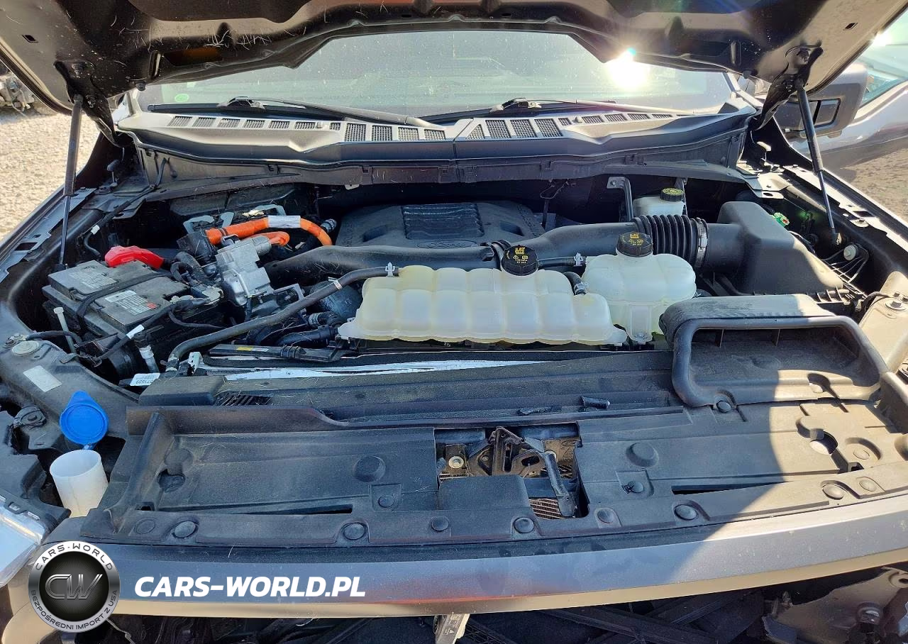 2022 Ford F150 Supercrew VIN:1FTFW1ED4NFB47551 - 11
