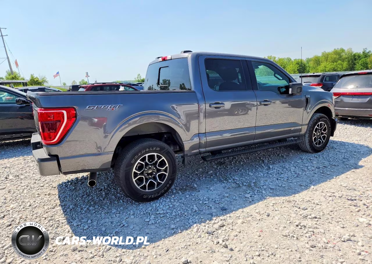 2022 Ford F150 Supercrew VIN:1FTFW1ED4NFB47551 - 3