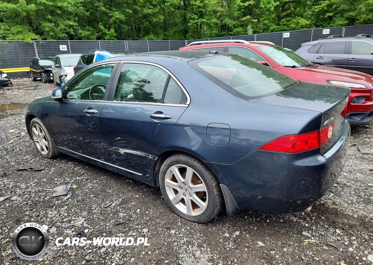 2005 Acura Tsx VIN:JH4CL96885C005117 - 2
