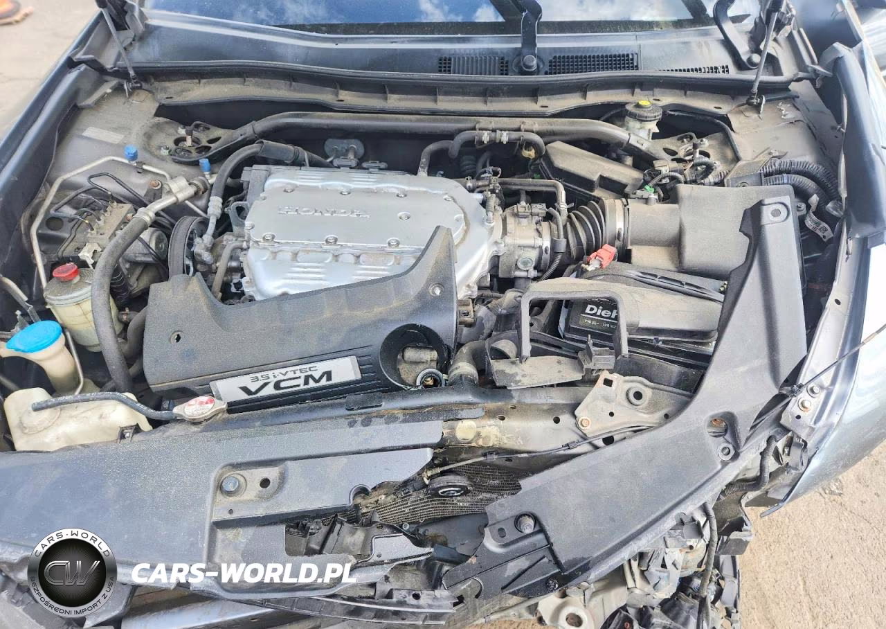 2010 Honda Accord Exl VIN:1HGCS2B83AA009875 - 11