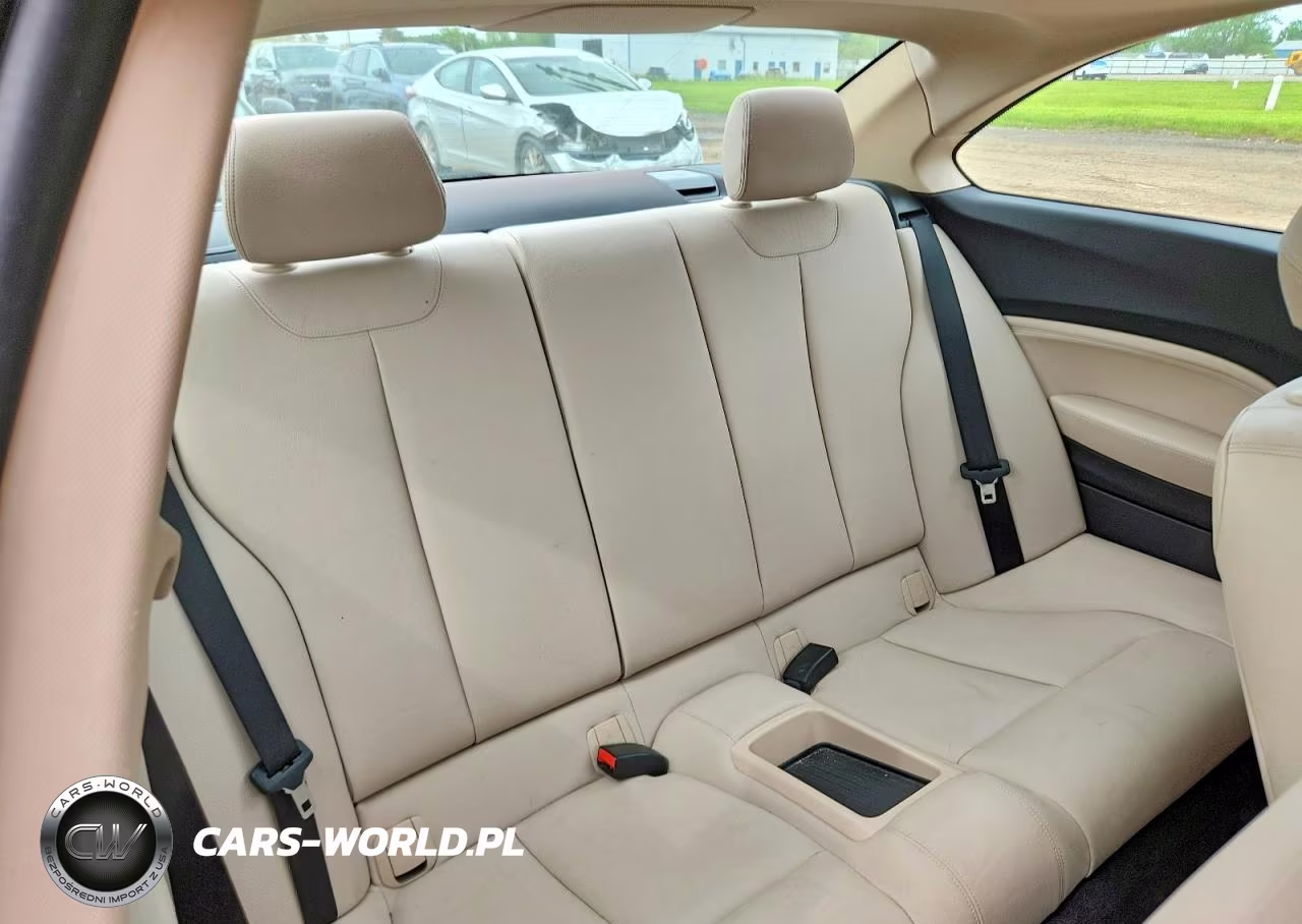 2015 BMW 228 Xi VIN:WBA1F7C5XFVX95960 - 10