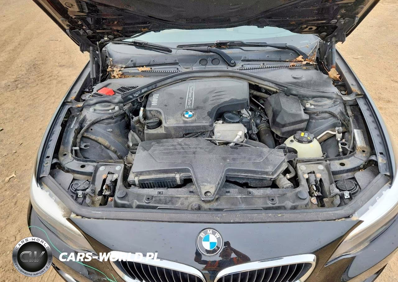 2015 BMW 228 Xi VIN:WBA1F7C5XFVX95960 - 11