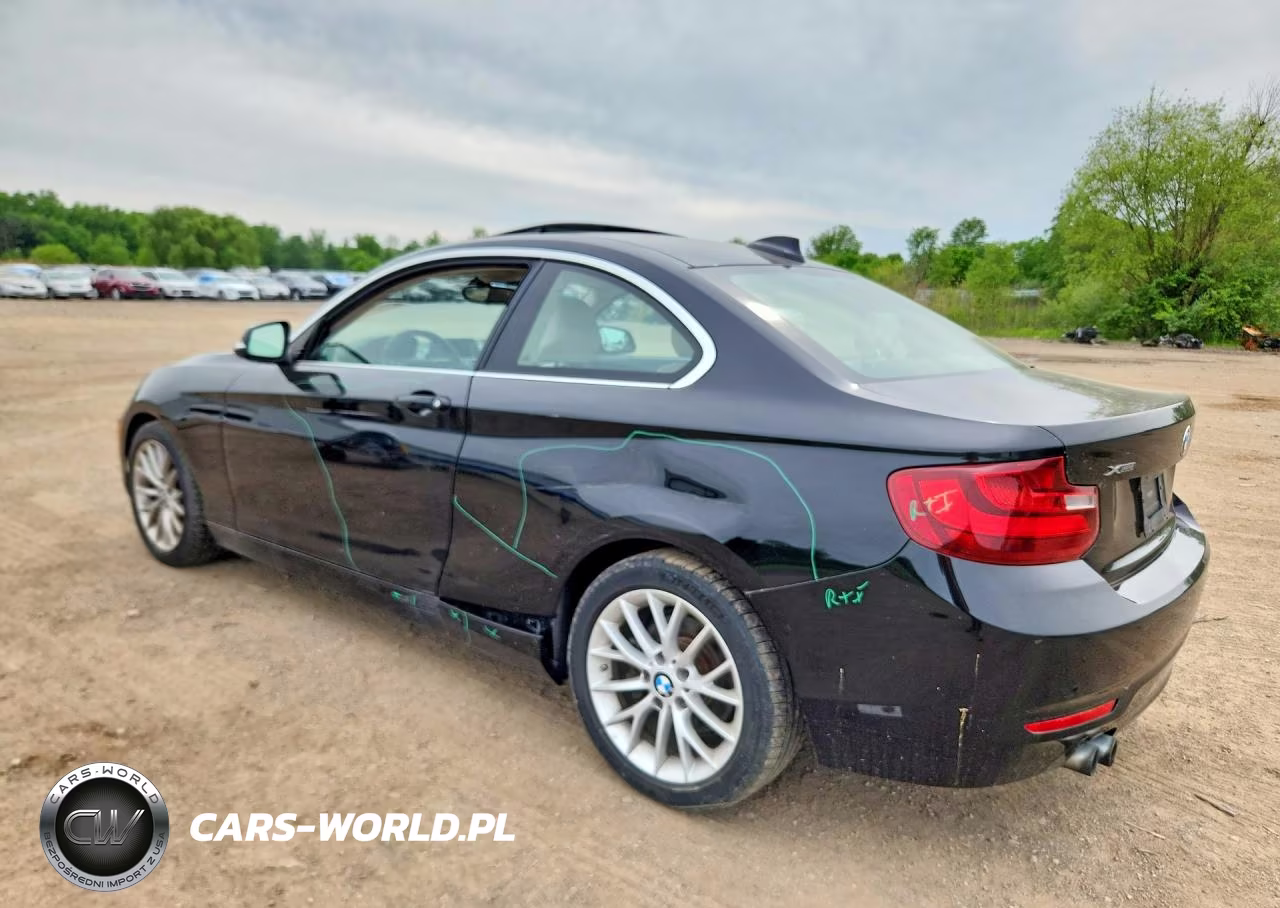2015 BMW 228 Xi VIN:WBA1F7C5XFVX95960 - 2