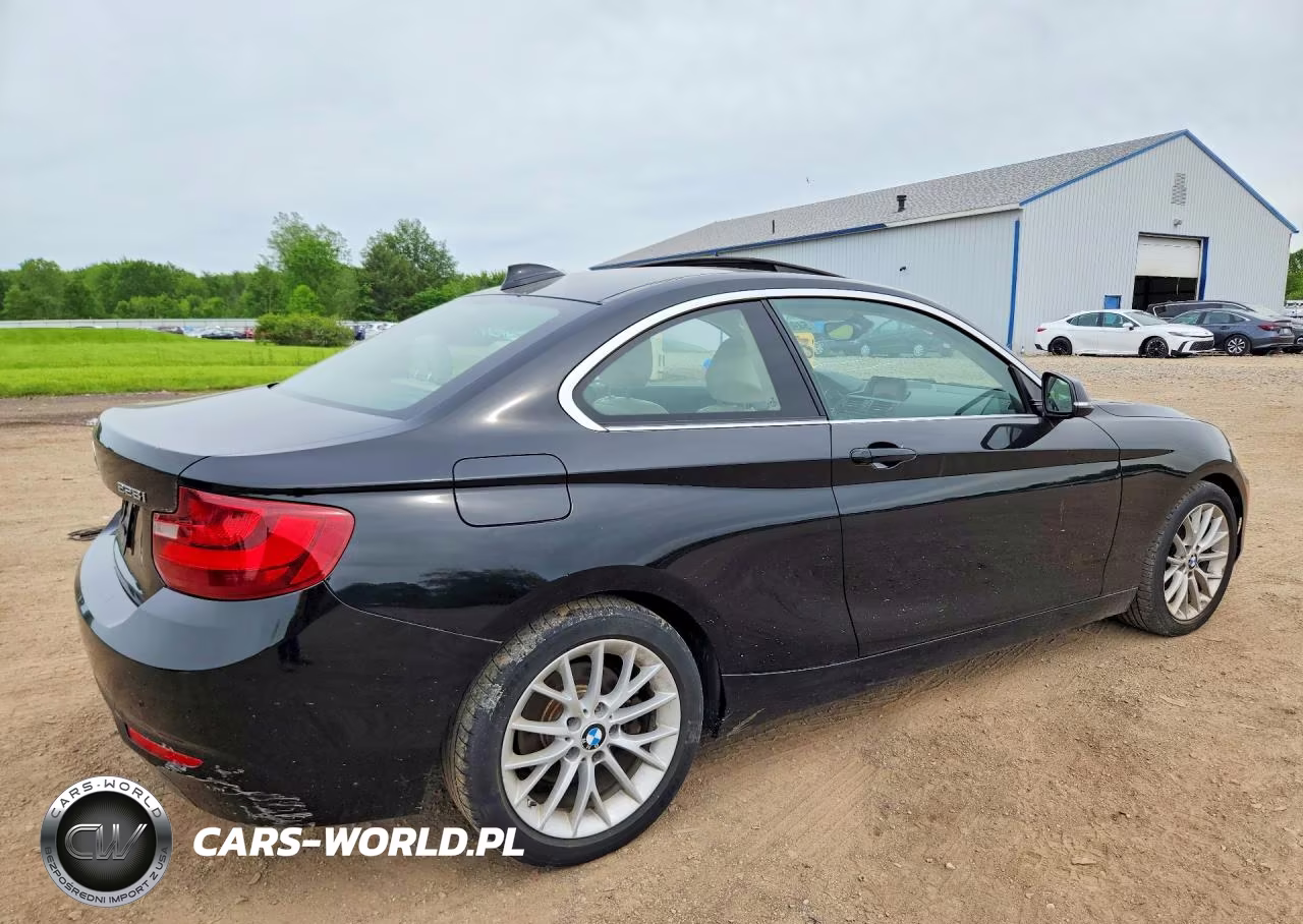 2015 BMW 228 Xi VIN:WBA1F7C5XFVX95960 - 3