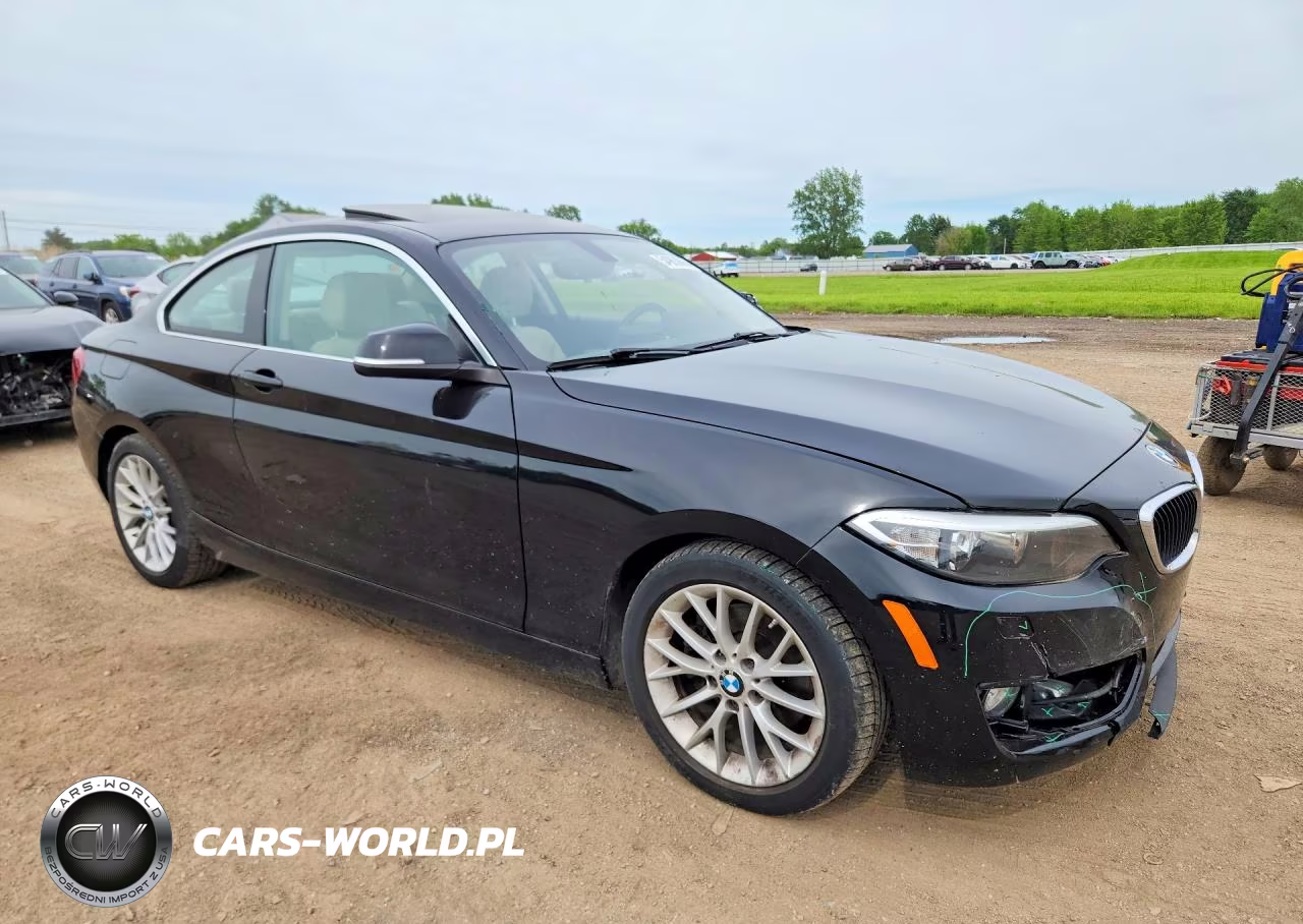 2015 BMW 228 Xi VIN:WBA1F7C5XFVX95960 - 4