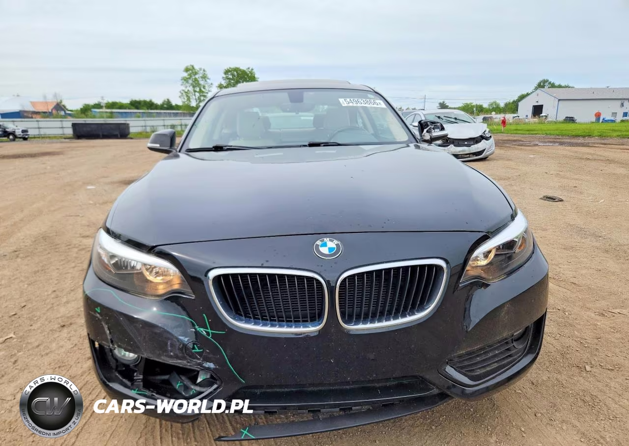 2015 BMW 228 Xi VIN:WBA1F7C5XFVX95960 - 5