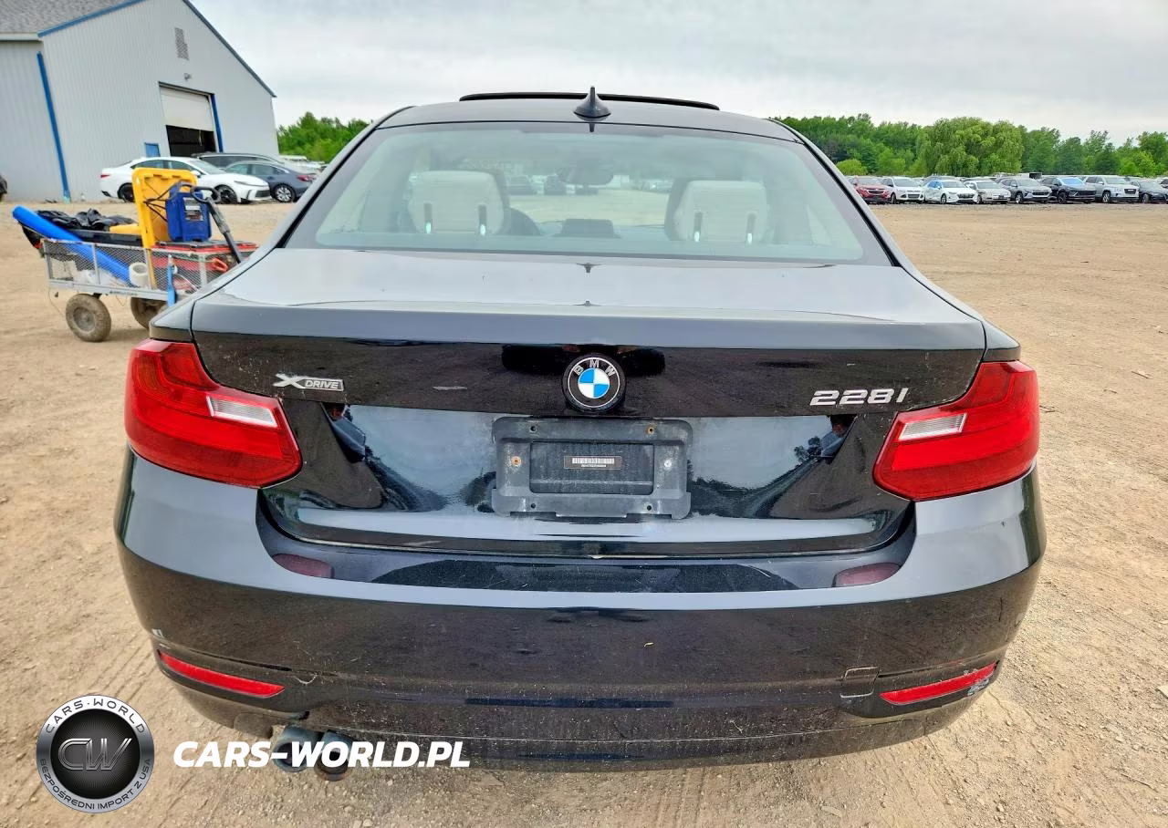 2015 BMW 228 Xi VIN:WBA1F7C5XFVX95960 - 6
