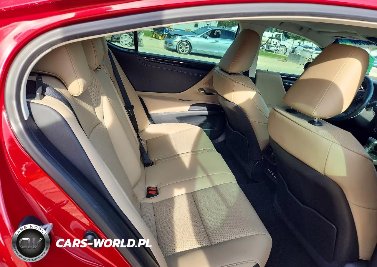 2021 Lexus Es 300H VIN:58ADA1C15MU001527 - 10