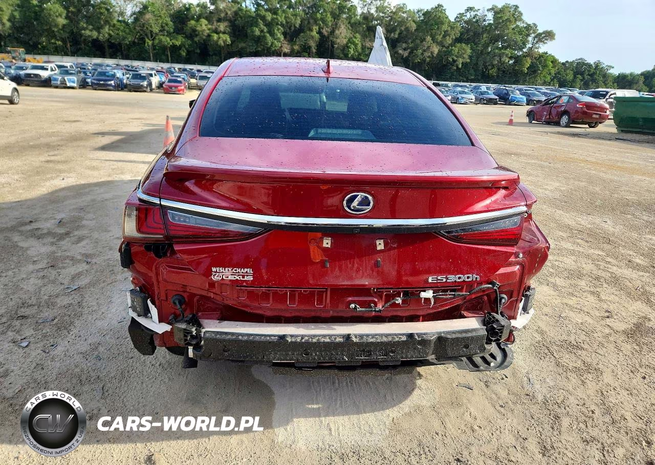 2021 Lexus Es 300H VIN:58ADA1C15MU001527 - 6