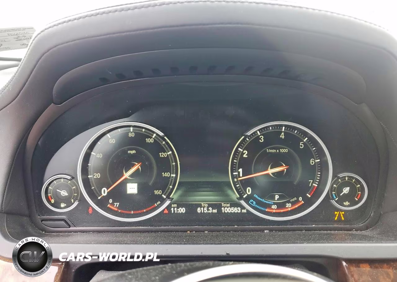 2015 BMW 750 Lxi VIN:WBAYF8C57FD655150 - 9