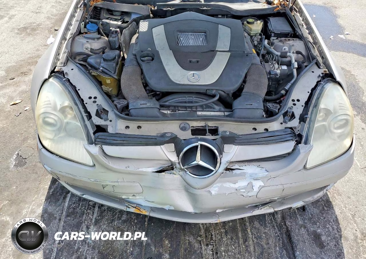 2006 Mercedes-Benz Slk 350 VIN:WDBWK56F16F101324 - 11