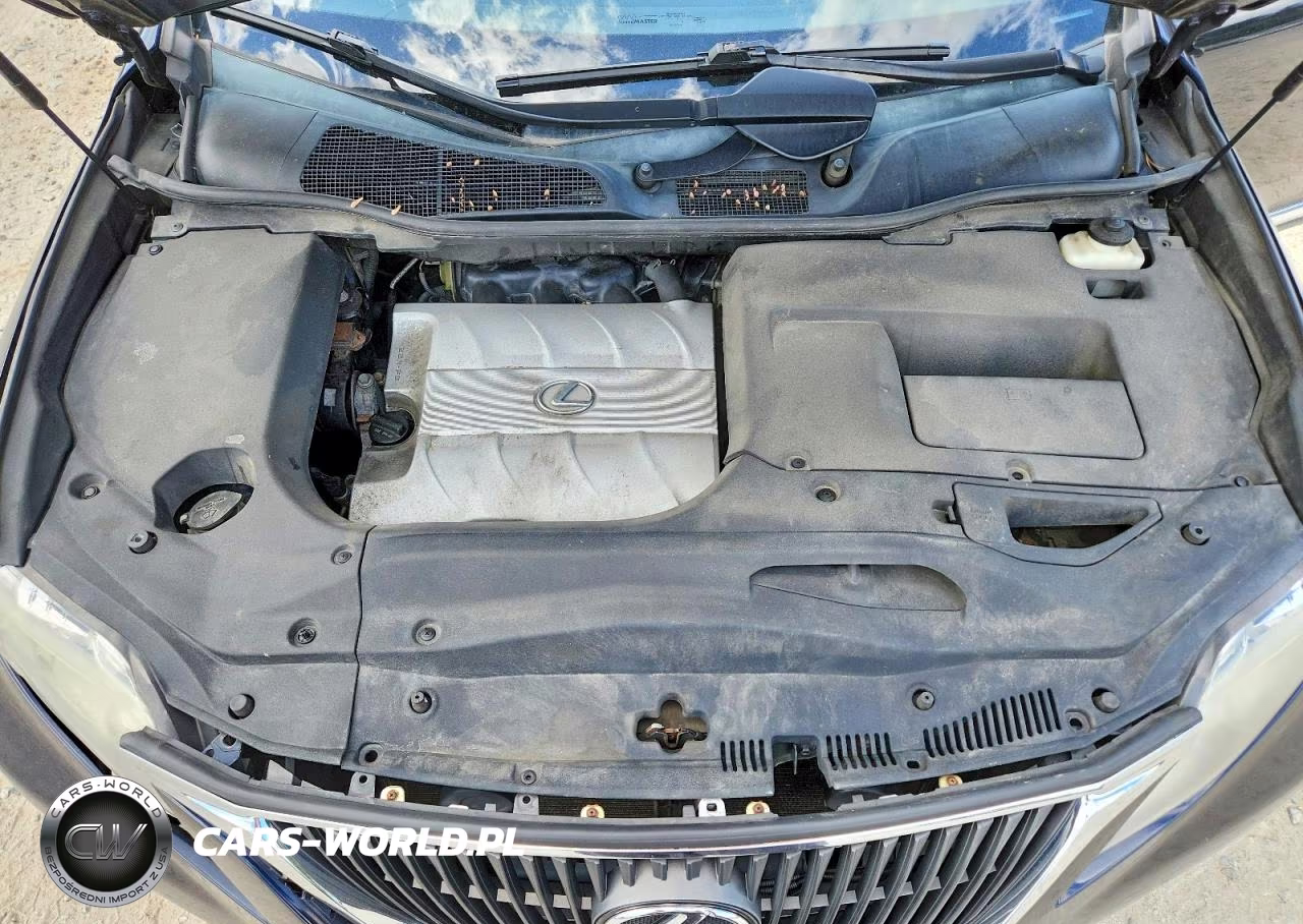 2010 Lexus Rx 350 VIN:2T2BK1BA6AC064271 - 12