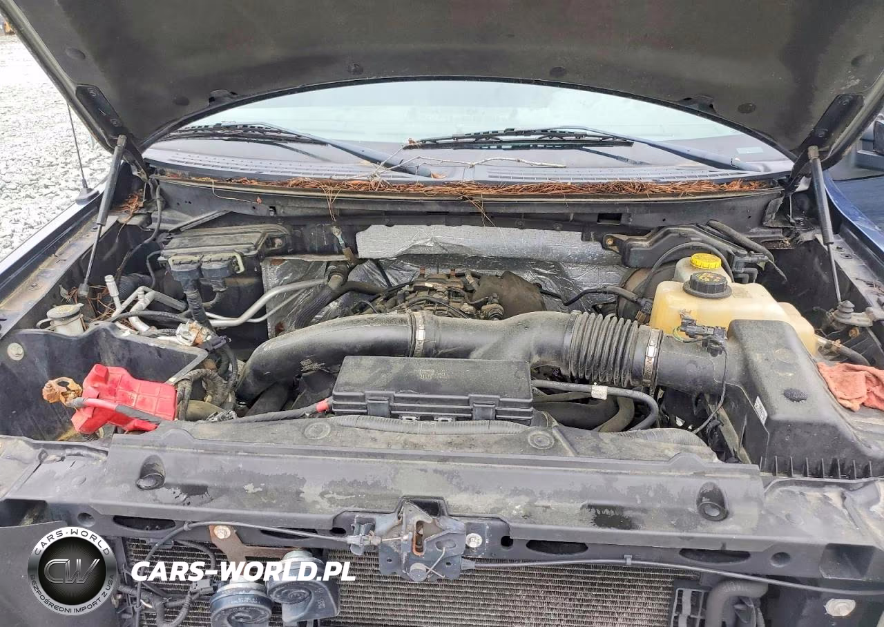 2013 Ford F150 Supercrew VIN:1FTFW1ET9DFD20437 - 11
