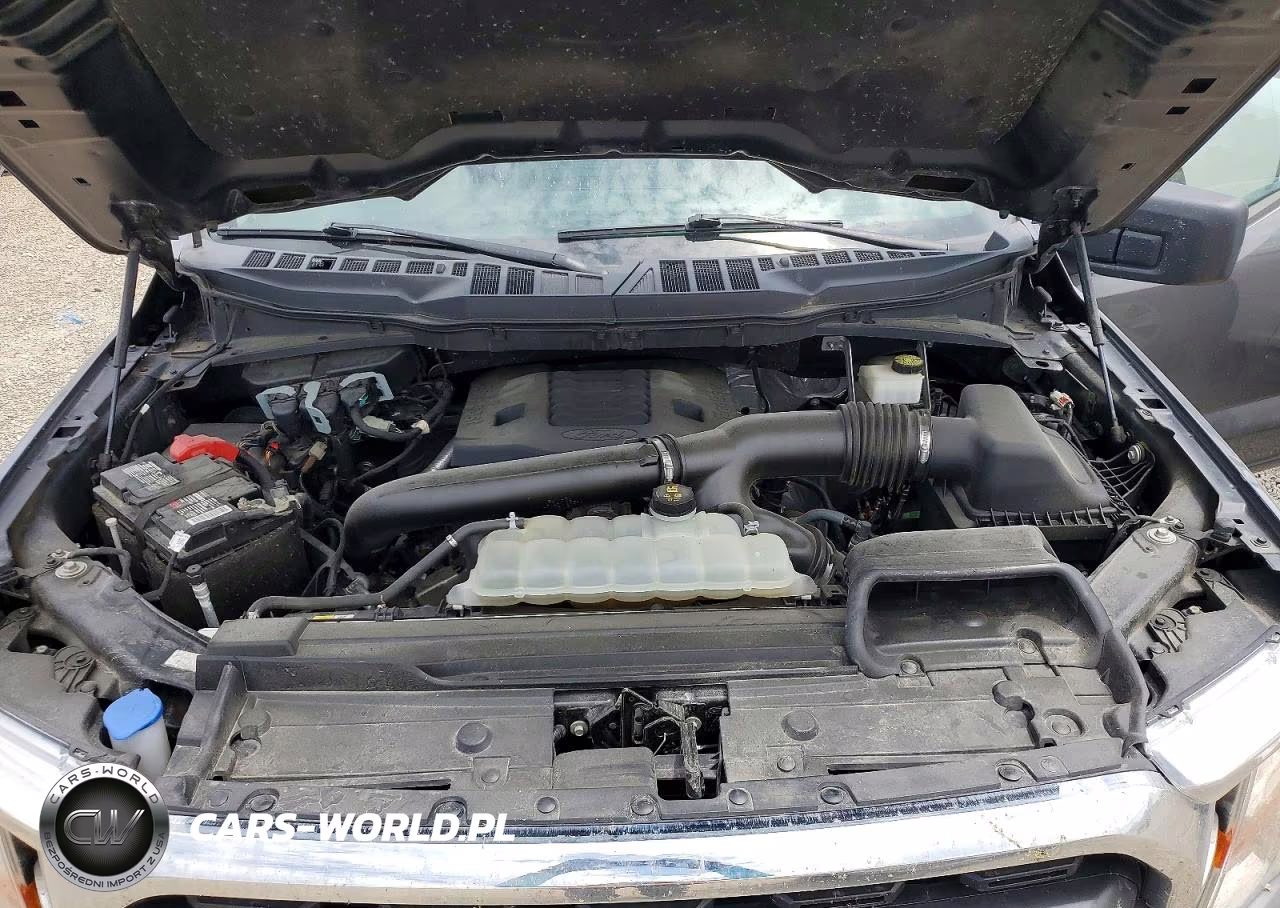 2022 Ford F150 Supercrew VIN:1FTFW1E87NKE18600 - 11